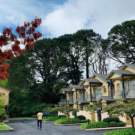 Falls Mountain Retreat Blue Mountains Wentworth Falls Exterior foto