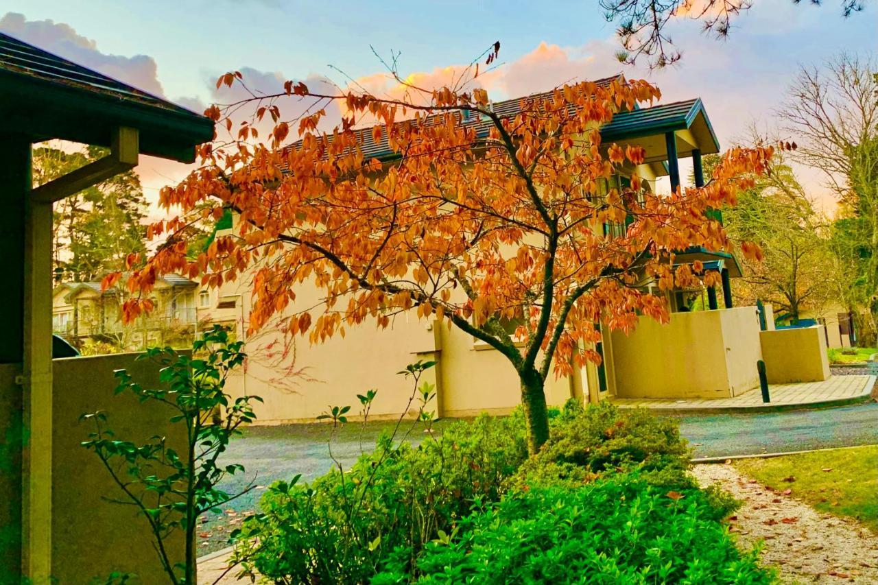 Falls Mountain Retreat Blue Mountains Wentworth Falls Exterior foto